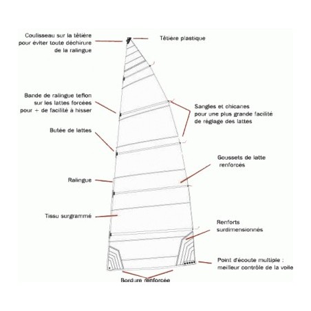 Mainsail New Cat F1 Comp.