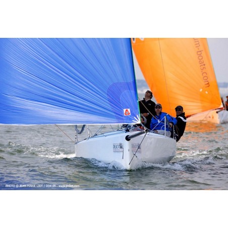 Spi 6.50 Sportboats Delta Voiles65 M² occasion Spi 6.50 Sportboats Delta Voiles65 M² occasion
